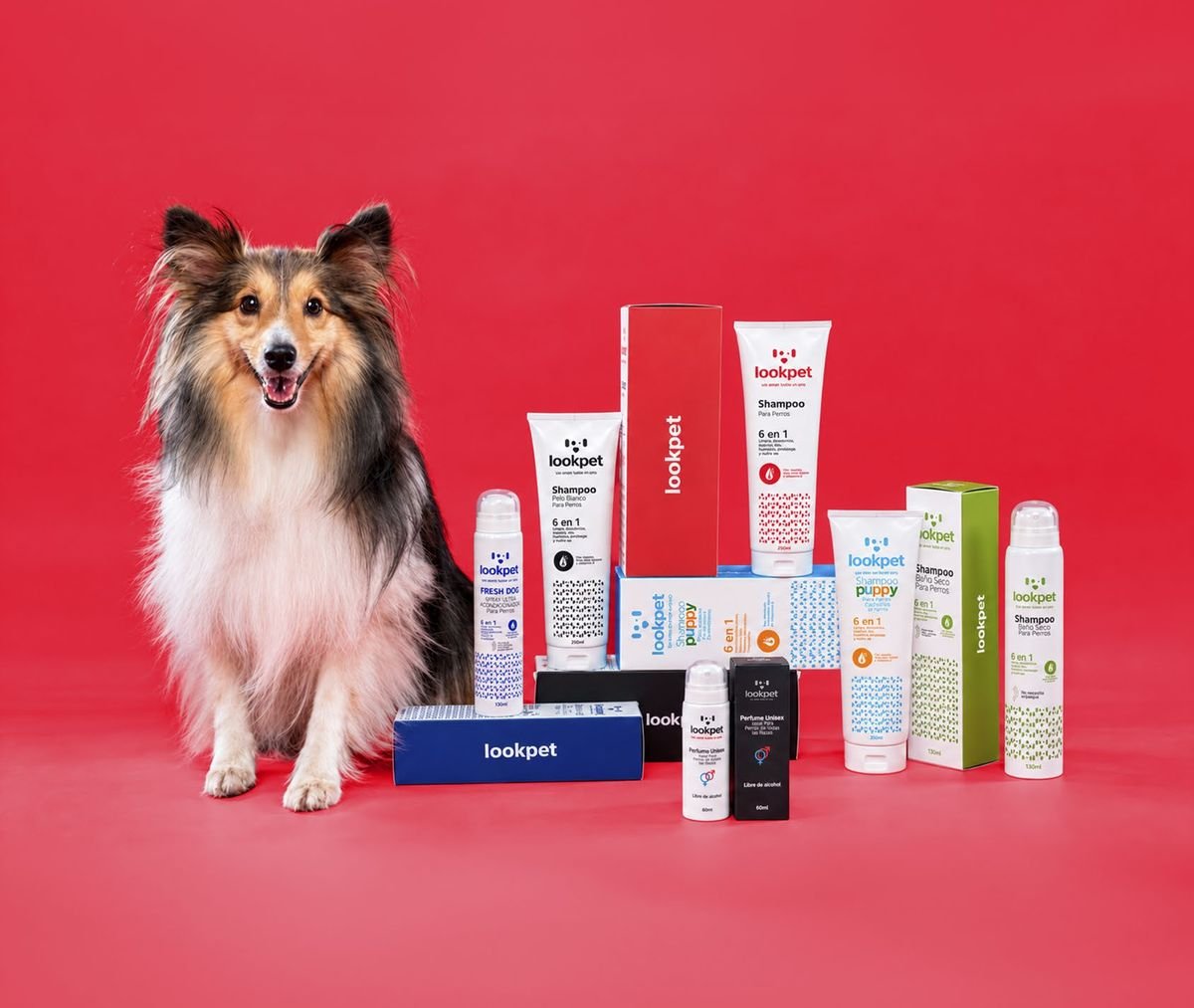 Perro pastor de Shetland junto a los seis productos Lookpet con sus cajas, sobre fondo rojo