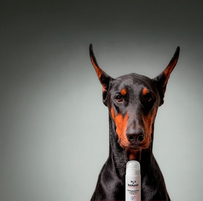 Perfume Unisex Lookpet frente a un dóberman