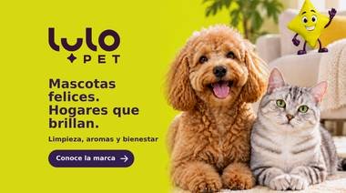 LuloPet, el cuidado de la casa con mascotas