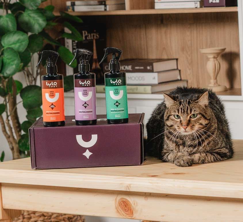 Los tres Neutralizer, naranja, lila y verde, sobre una caja LuloPet junto a un gato