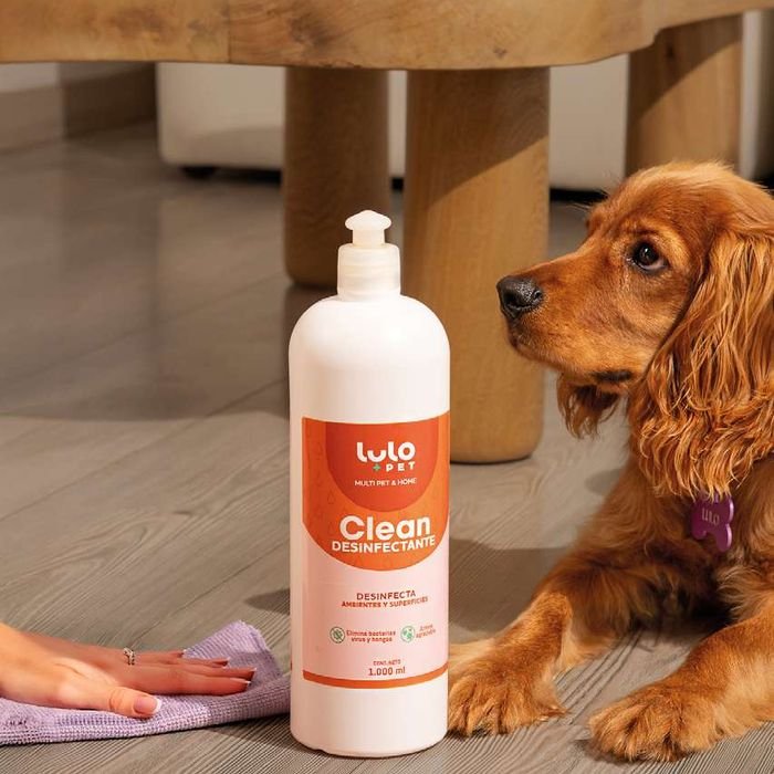 Clean Desinfectante junto a un cocker spaniel