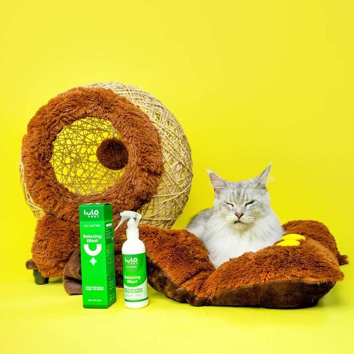 Relaxing Effect Cat junto a un gato sobre fondo amarillo