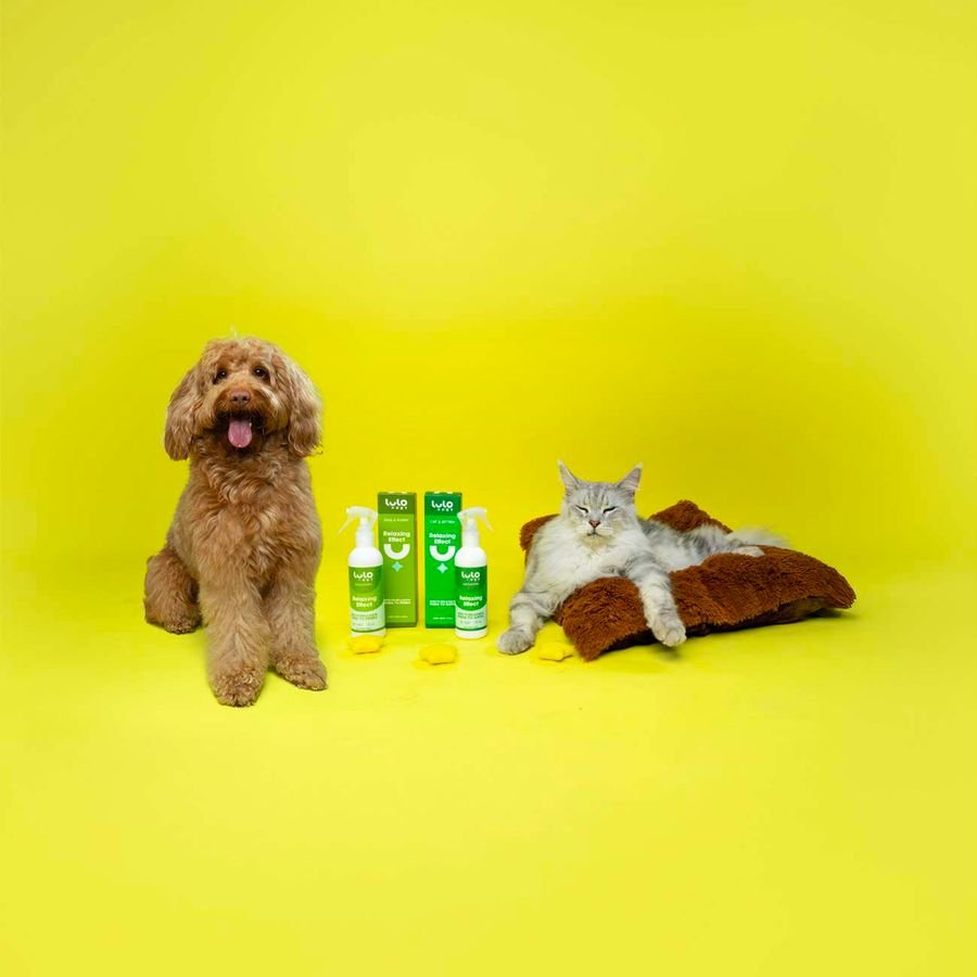 Un perro y un gato junto a los productos Relaxing Effect sobre fondo amarillo